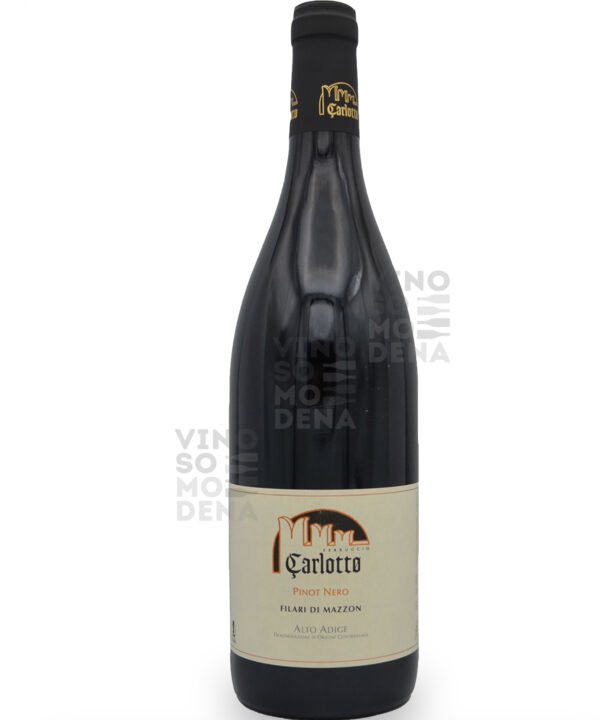 Carlotto "Filari di Mazzon" PINOT NERO 2020