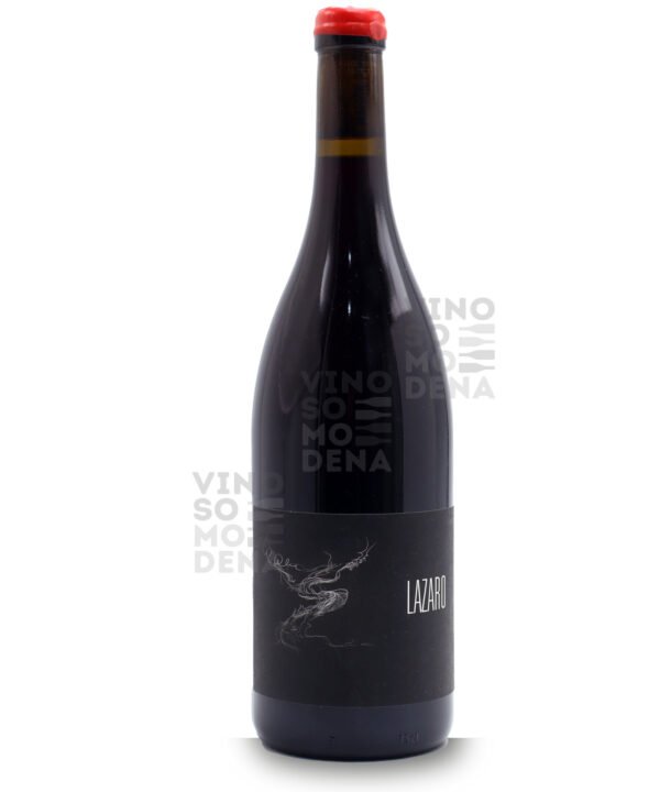 MAISON PINOT NOAR LAZARO 2023