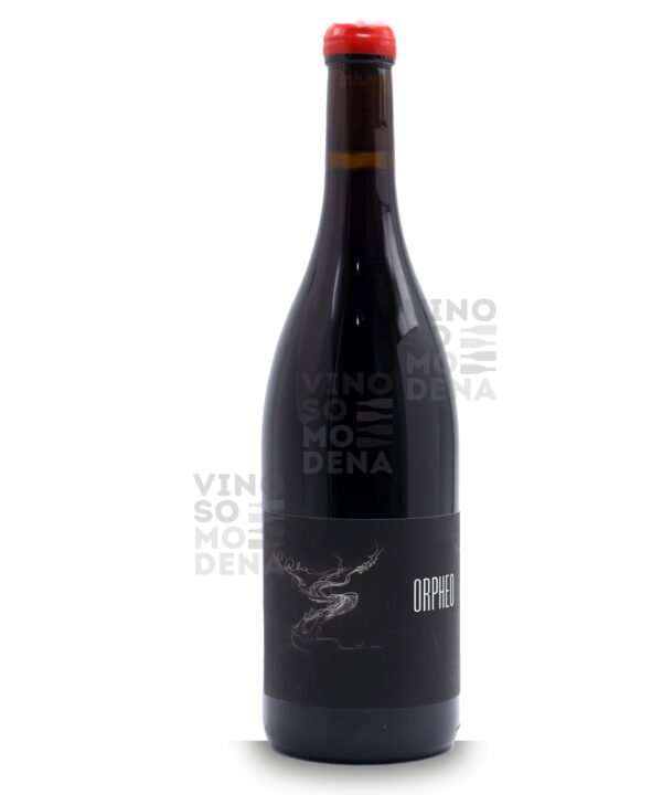 MAISON PINOT NOAR ORPHÉO 2022