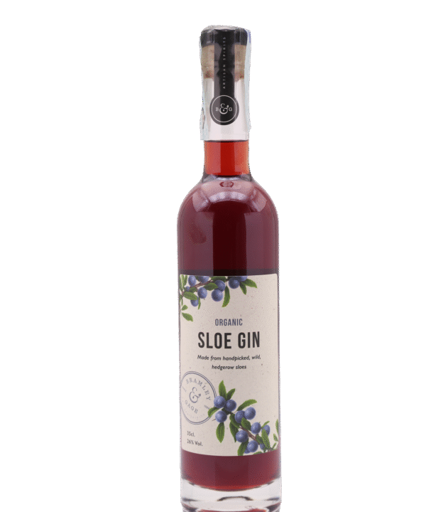 Bramley & Gage Sloe Gin 35cl