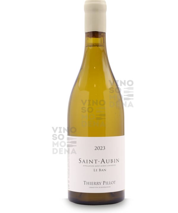 Domaine thierry pillot Saint-Aubin Le Ban 2023