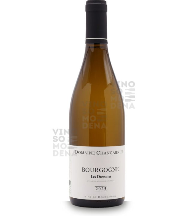 Domaine Changarnier  Bourgogne Chardonnay Les Dressoles 2023