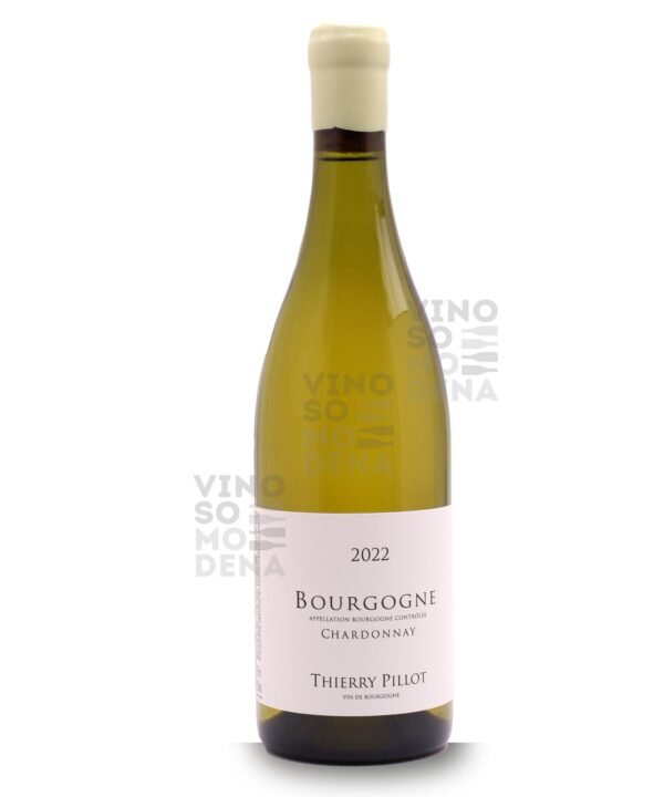 DOMAINE THIERRY PILLOT BOURGOGNE CHARDONNAY 2022