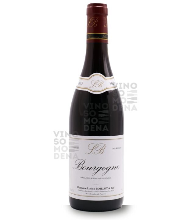 DOMAINE LUCIEN BOILLOT BOURGOGNE  PINOT NOIR 2022