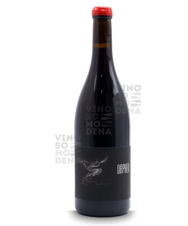 MAISON PINOT NOAR ORPHÉO 2022