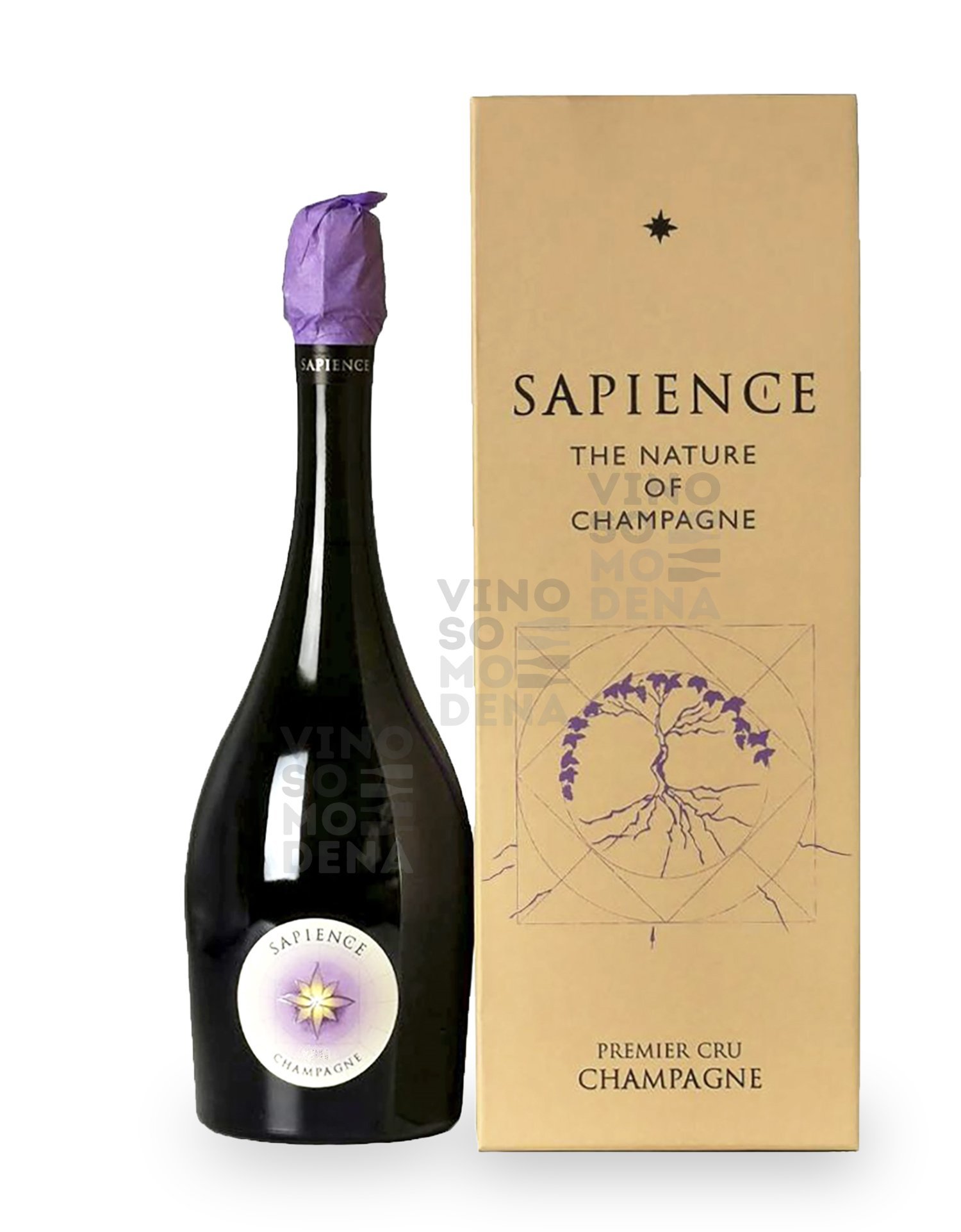 1691427278_SAPIENCE.jpg
