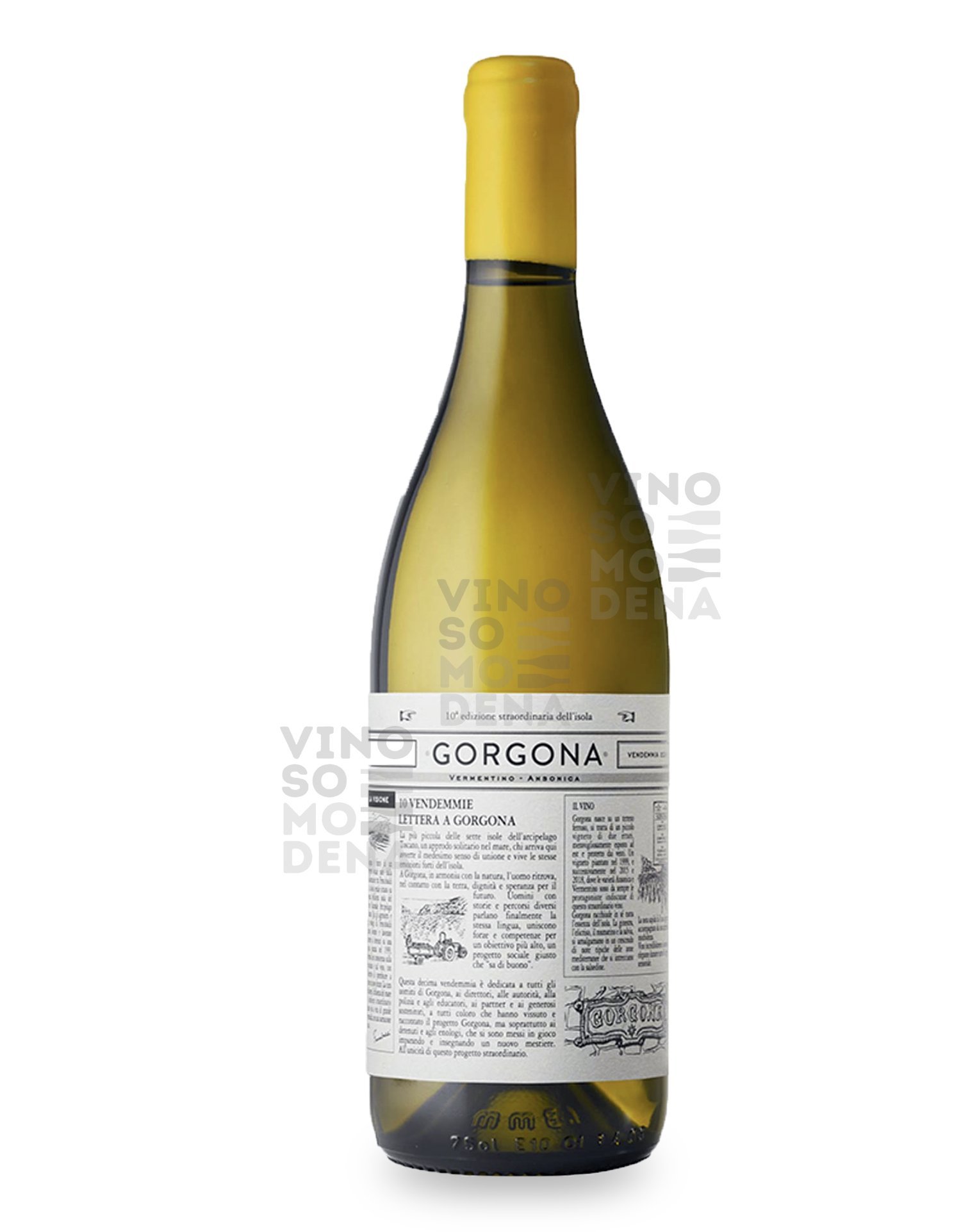 1707318174_gorgona.jpg