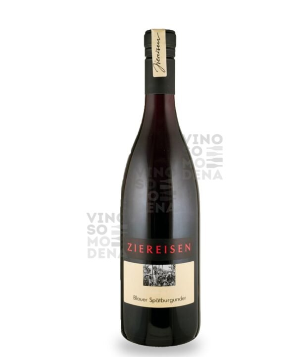 WEINGUT ZIEREISEN SPATBURGUNDER TROCKEN 2022