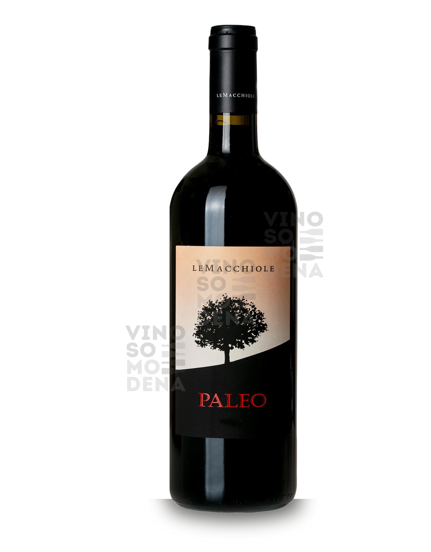 1744723531_paleo.jpg