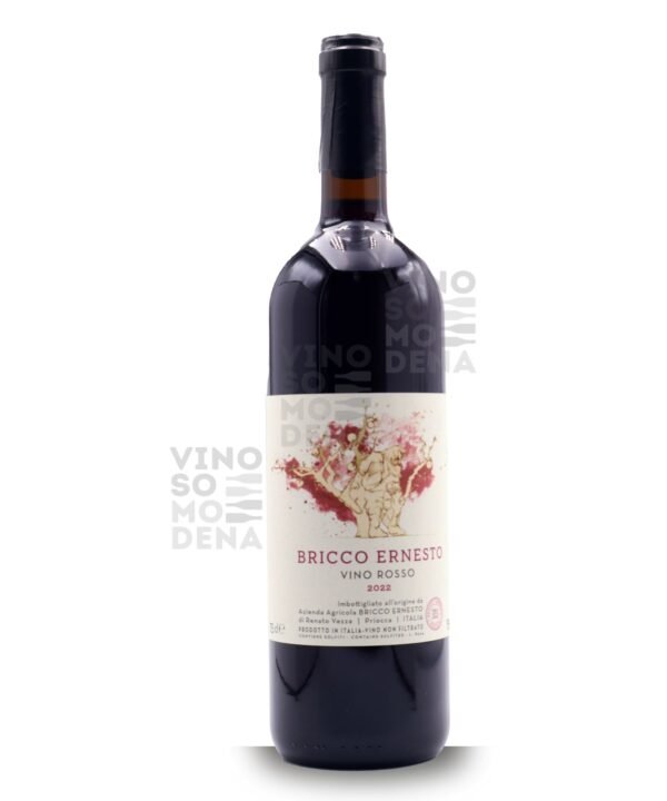 BRICCO ERNESTO VINO ROSSO  2022
