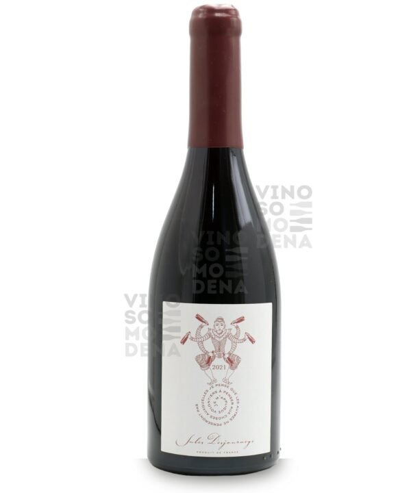 DOMAINE JULES DESJOURNEY BEAUJOLAIS VILLAGE GAMAY 2021