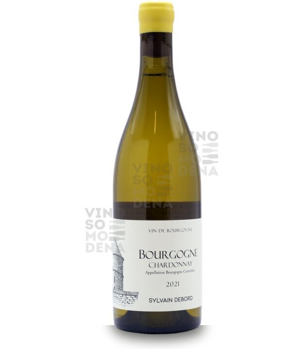 Domaine Sylvain Debord Macon Village 2021