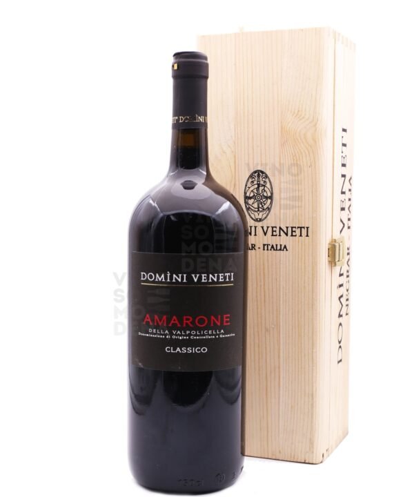 Domini Veneti Amarone 2015 MAGNUM (Astucciato Legno)