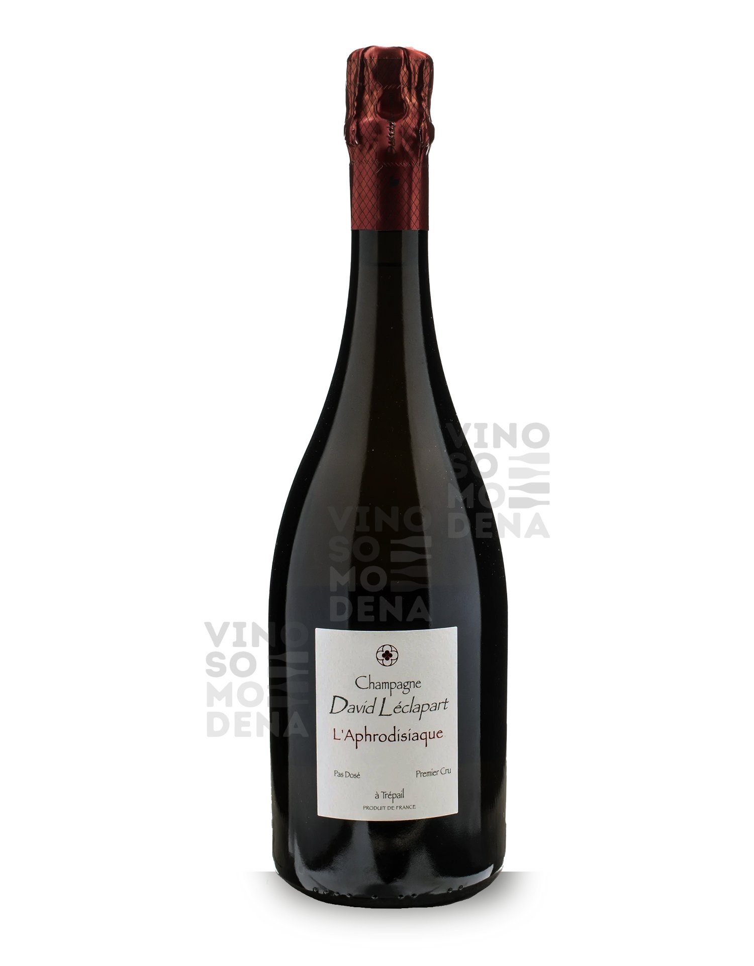 1302.jpg