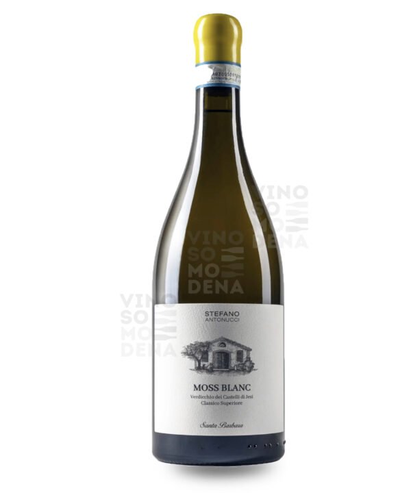 VERDICCHIO DEI CASTELLI DI JESI MOSS BLANC 2020