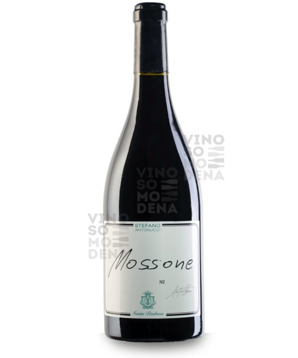 STEFANO ANTONUCCI MOSSONE 2014