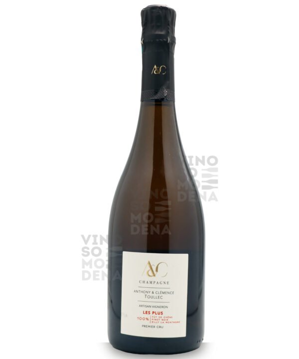CHAMPAGNE TOULLEC LES PLUS 1ER CRU EX. BRUT (100%PN)